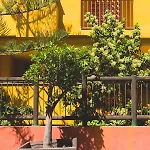 Paraiso Natural En Con Piscina Y Parking Lägenhet Marbella